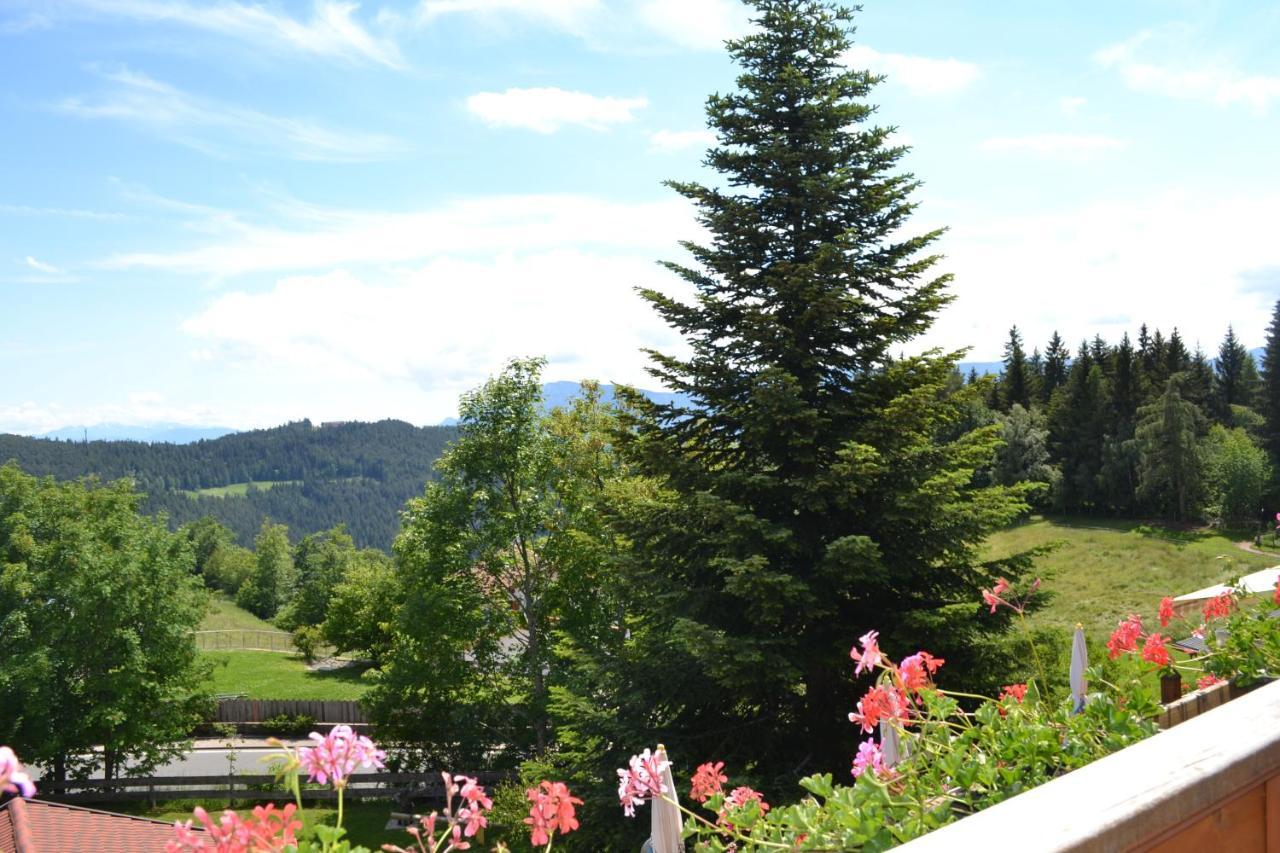 Gasthof Zum Gruenen Baum Verano Exterior foto